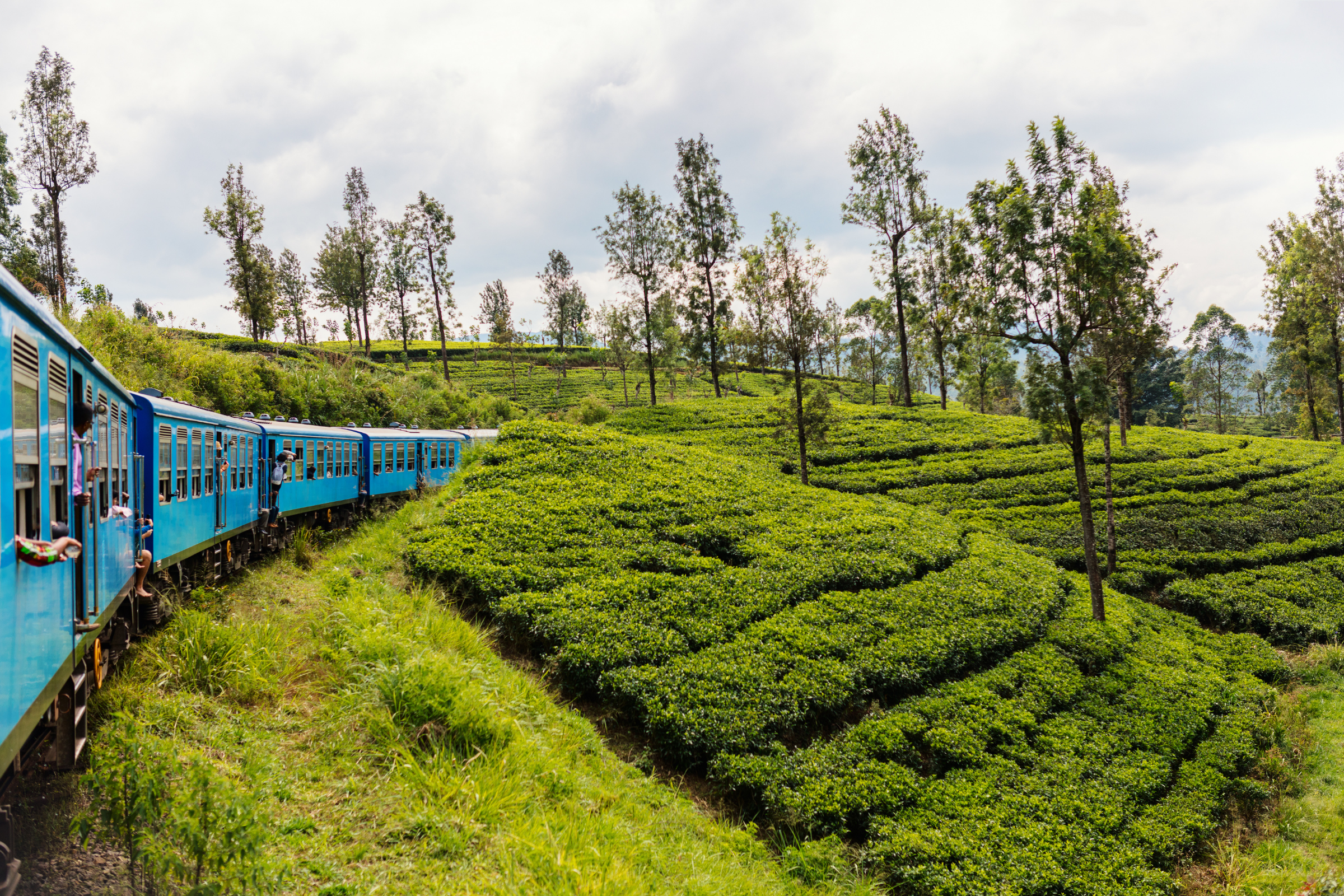 kitulgala (2).webp